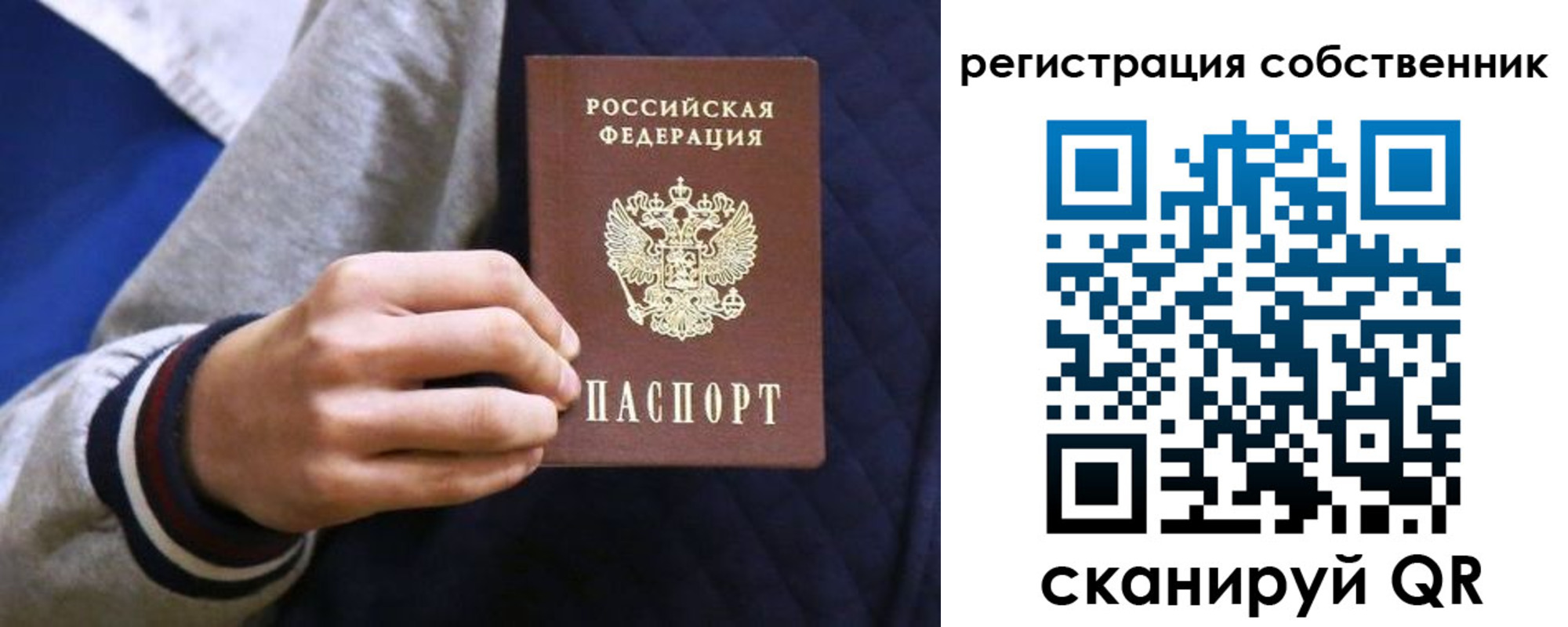 прописка поиск в Торопеце